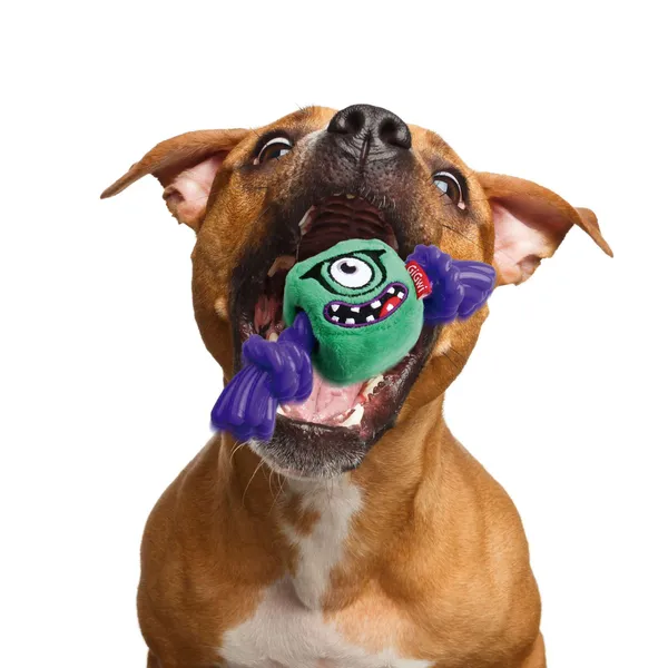 Đồ chơi cho chó Monster Rope
