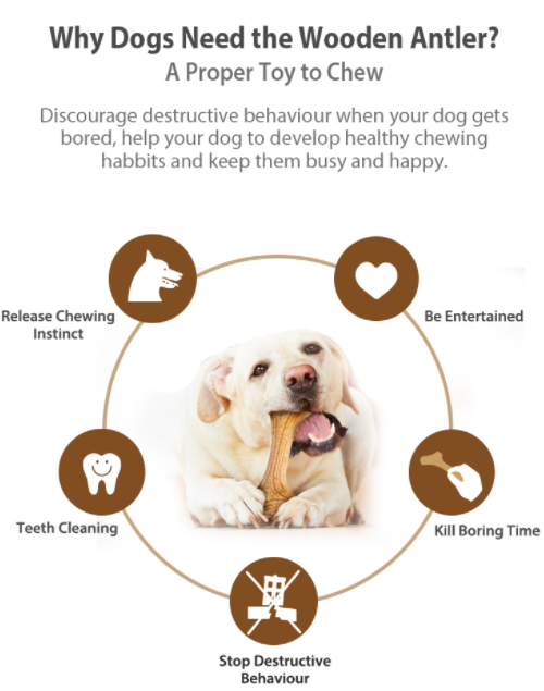 đồ chơi chó mèo Gigwi wooden anlther thanh gặm gỗ đồ mài răng chống cắn phá cho chó