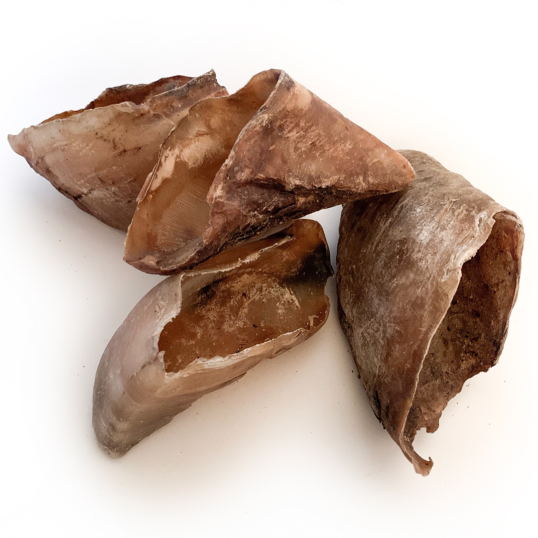 xương gặm cho chó gigwi đồ chơi chó mèo thanh gặm gỗ an toàn chống ngứa răng và mài răng cho chó con 2