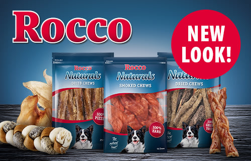 xương gặm cho chó gigwi đồ chơi chó mèo thanh gặm gỗ an toàn chống ngứa răng và mài răng cho chó con 2