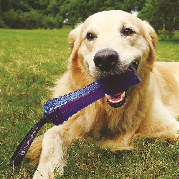 Xương gặm cho chó huấn luyện chó cắn phá đồ đạc cắn dép giảm chống lo âu sợ hãi - gigwi đồ chơi chó mèo cao cấp