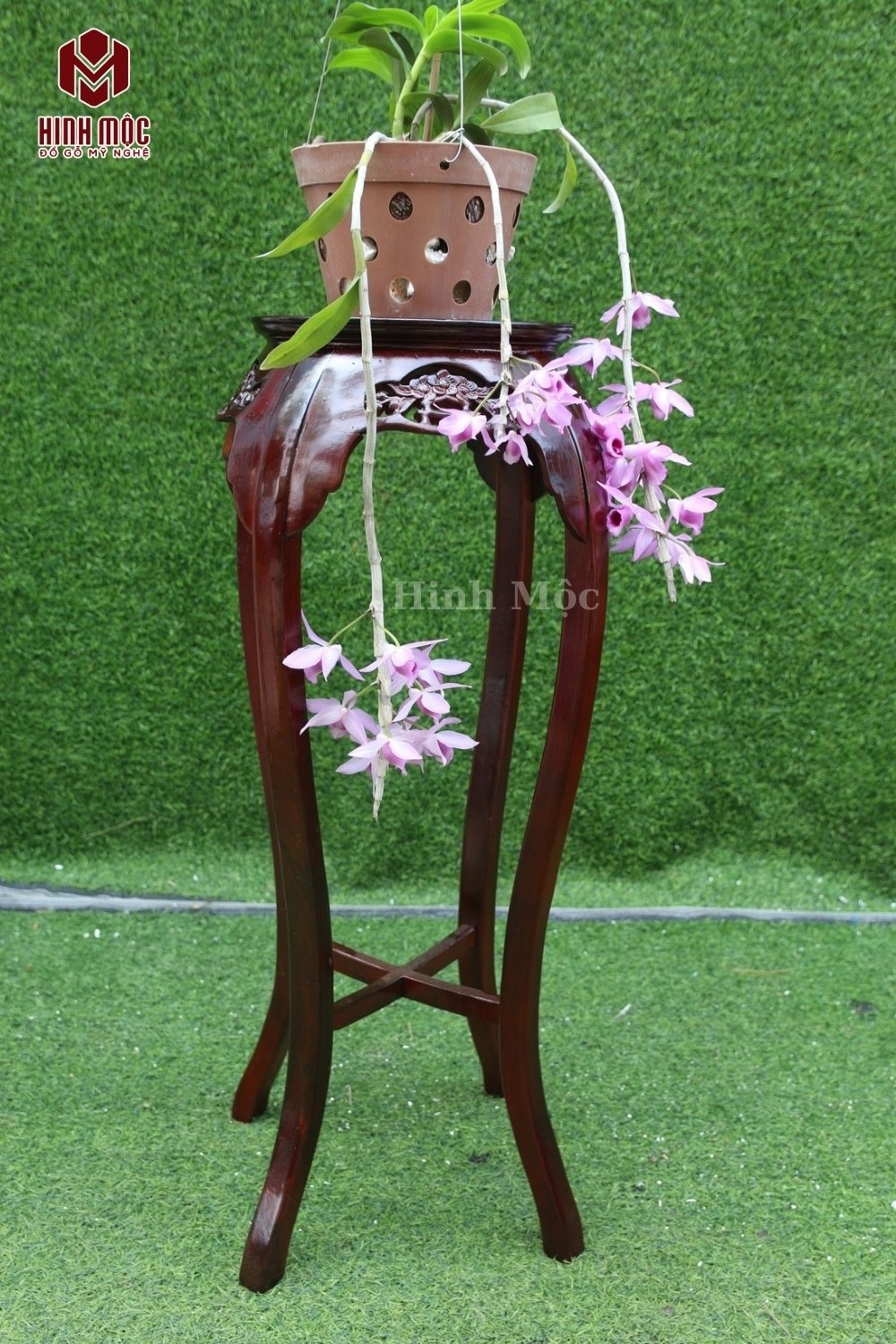 đôn kiều giá rẻ 1 đôn kiều giá rẻ 1