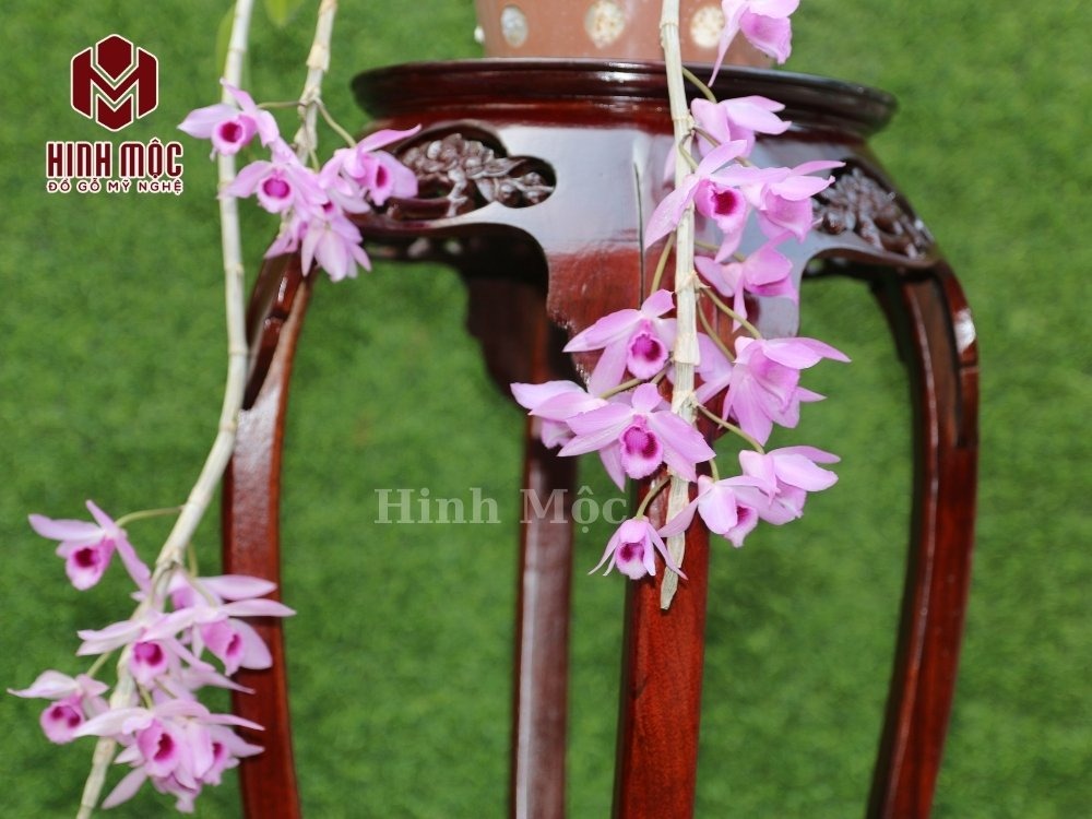 đôn kiều giá rẻ 2 đôn kiều giá rẻ 2