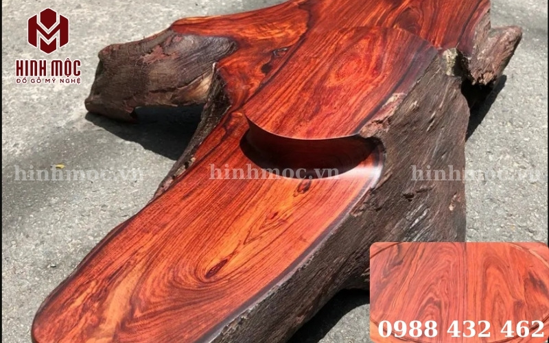 gỗ trắc là loại gỗ quý hiếm có giá cao ngất ngưởng gỗ trắc là loại gỗ quý hiếm có giá cao ngất ngưởng