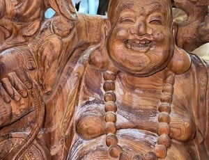 Gỗ ngọc am lên tuyết là gì? Nhận biết tuyết thật và cách bảo quản