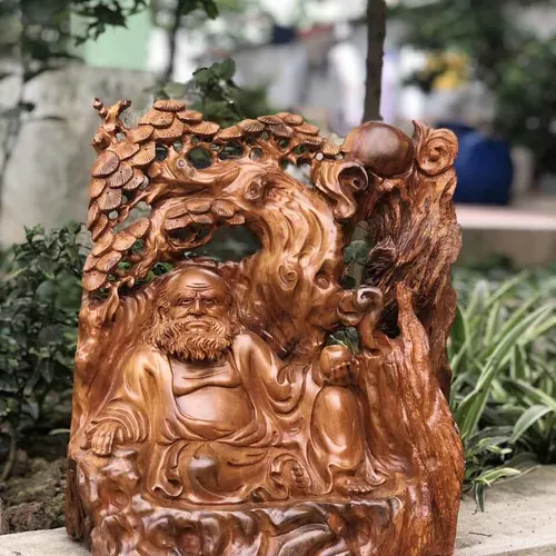 Đạt Ma thiền gốc tùng gỗ bách xanh