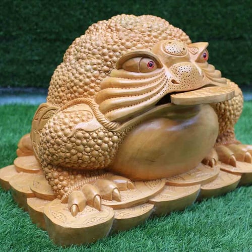 Cóc to nặng 30kg