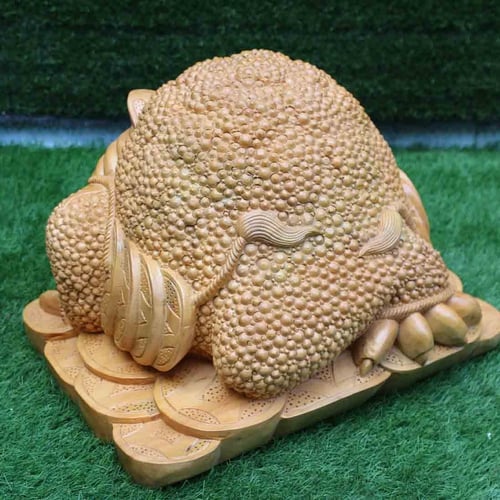Cóc to nặng 30kg
