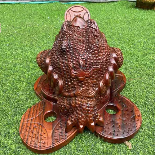 Cóc ngậm tiền gỗ xà cừ