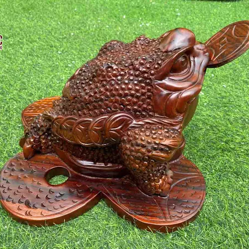 Cóc ngậm tiền gỗ xà cừ