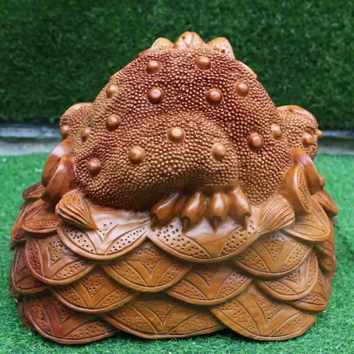 Cóc to nặng 30kg