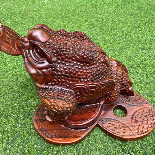 Cóc ngậm tiền gỗ xà cừ