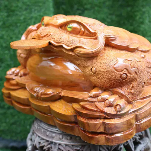Cóc ngang 50cm