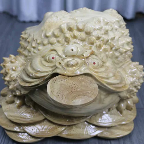 Cóc nghiến ngang 37cm dày đẹp