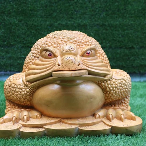 Cóc to nặng 30kg