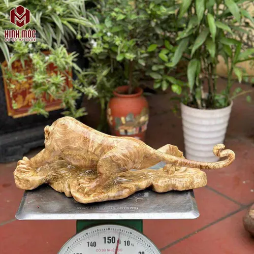 Mãnh hổ gỗ nu kháo