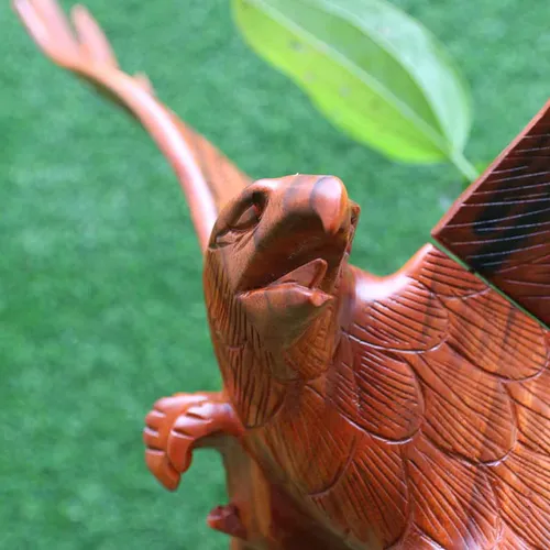 Đại bàng cầu giá rẻ