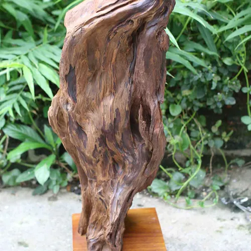 Đạt Ma giáo hóa cao 88cm gỗ bách xanh