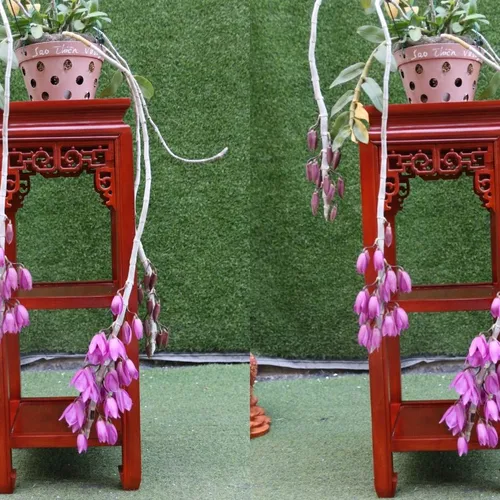 Đôn gỗ vuông 2 tầng cao 80cm gỗ lim bền chắc, giá rẻ