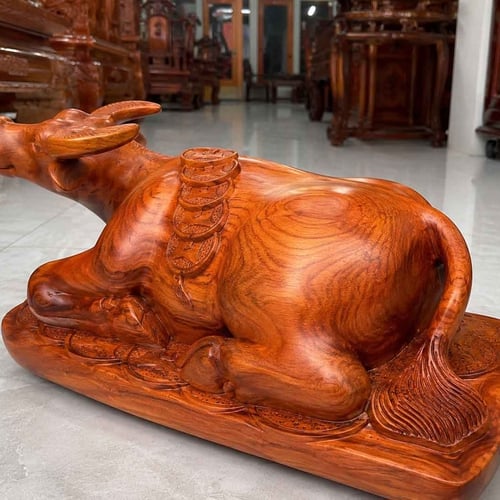 Con trâu nằm đống tiền vàng gỗ hương ta