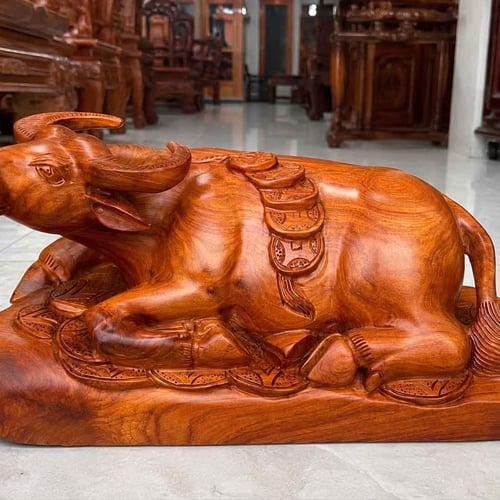 Con trâu nằm đống tiền vàng gỗ hương ta