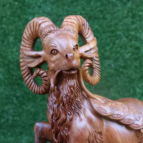 Tam Dương khai thái cao 71cm