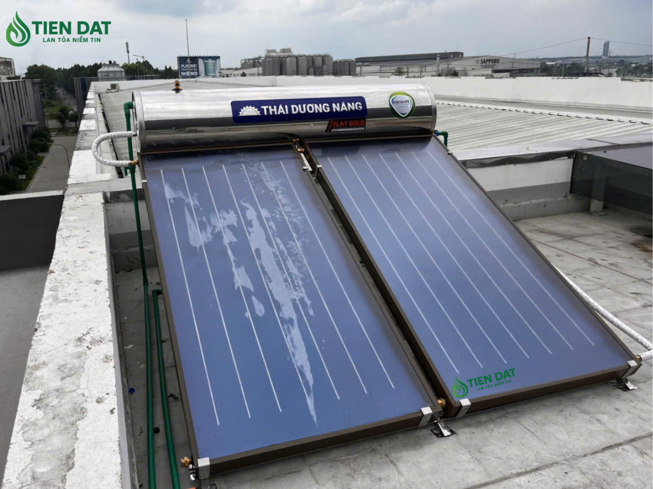 thái dương năng gold thái dương năng gold