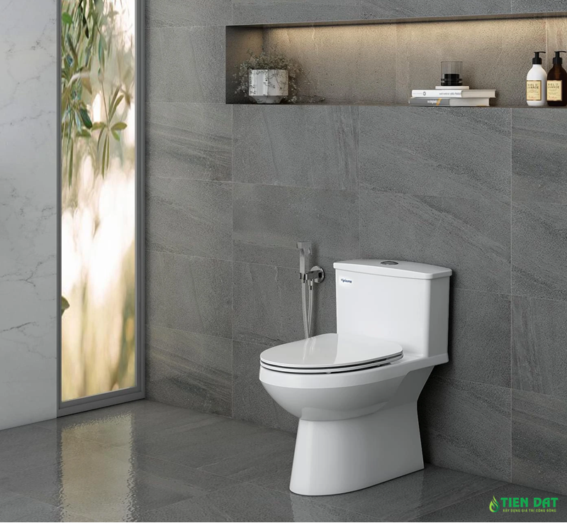 Bồn cầu Viglacera Bồn cầu Viglacera