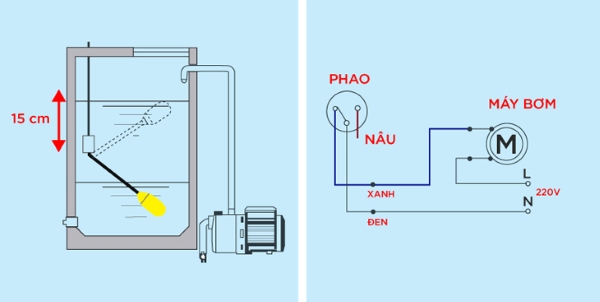 cách lắp phao cơ thông minh