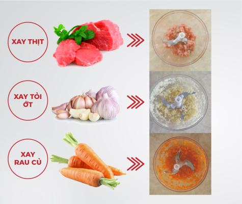 Máy xay tỏi ớt đa năng RC-200G Máy xay tỏi ớt đa năng RC-200G