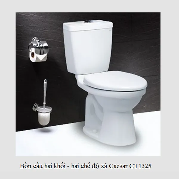 Bồn cầu hai khối-hai chế độ xả caesar CD1325