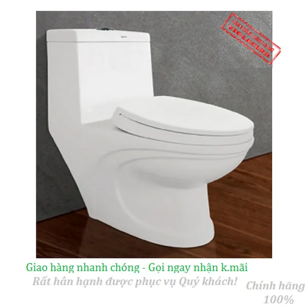 Bồn cầu két liền Viglacera V39