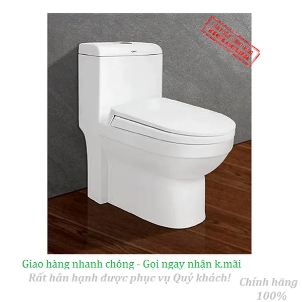 Bồn cầu két liền Viglacera V41