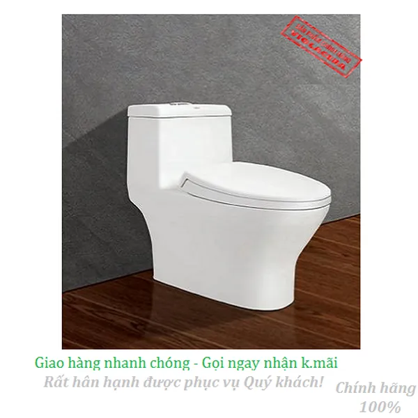 Bồn cầu két liền Viglacera V45