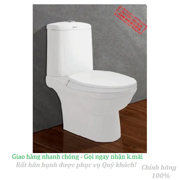 Bồn cầu két rời Viglacera VI107