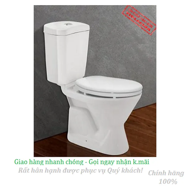 Bồn cầu két rời Viglacera VI66