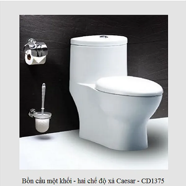 Bồn cầu một khối - hai chế độ xả caesar CD1375