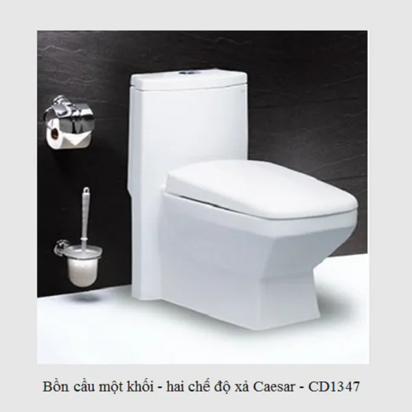 Bồn cầu một khối - hai chế độ xả CD1347