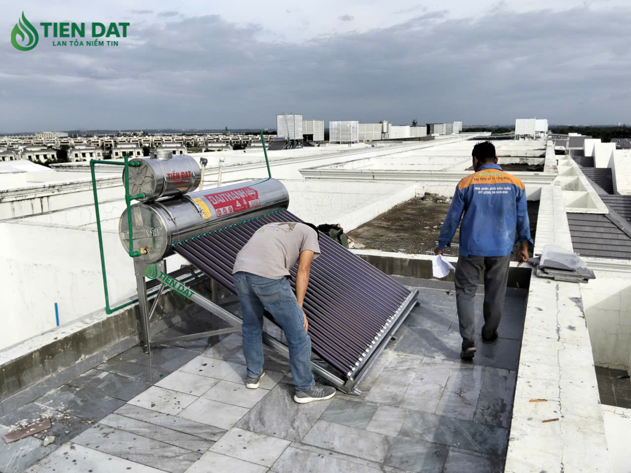 nlmt đại thành gold nlmt đại thành gold