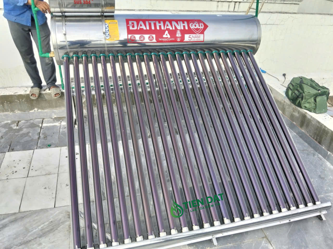 nlmt đại thành gold nlmt đại thành gold