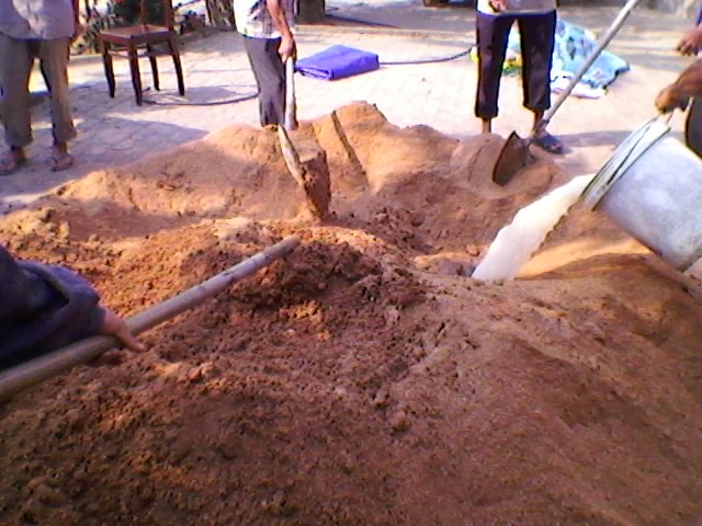 kỹ thuật trồng nấm mối đen