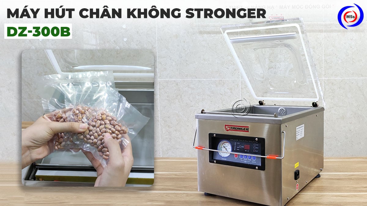 Máy hút chân không Stronger DZ-300B Máy hút chân không Stronger DZ-300B