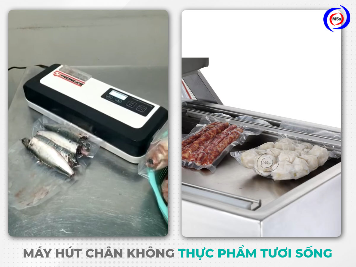 máy hút chân không thực phẩm tươi sống máy hút chân không thực phẩm tươi sống