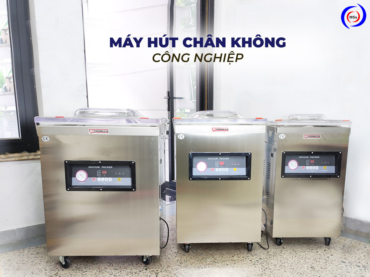 Máy hút chân không công nghiệp DZ-400 tại công ty M5s Máy hút chân không công nghiệp DZ-400 tại công ty M5s
