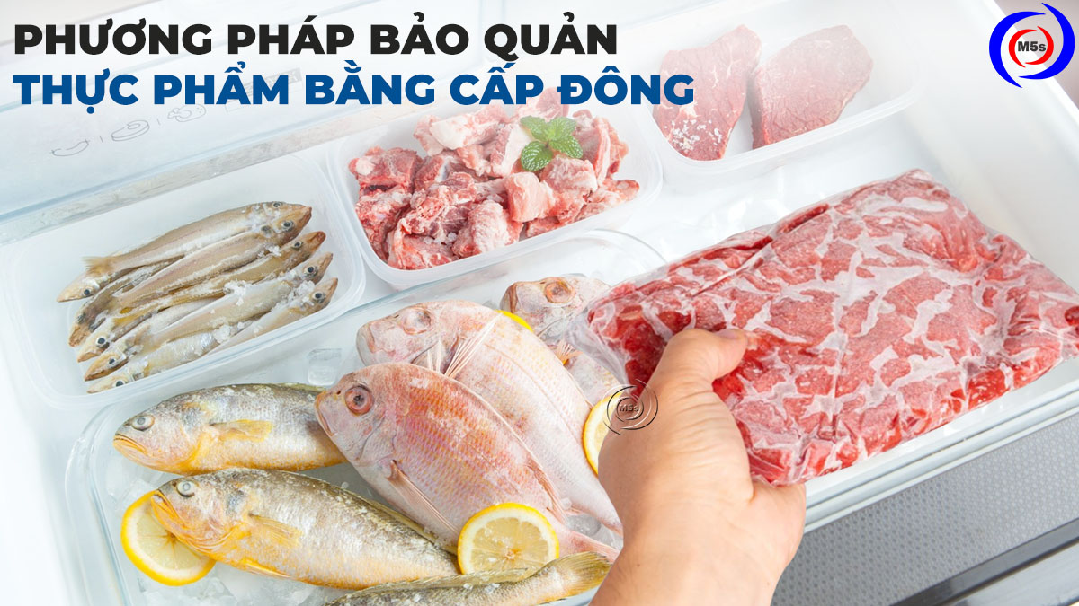 bảo quản thực phẩm bằng cấp đông bảo quản thực phẩm bằng cấp đông