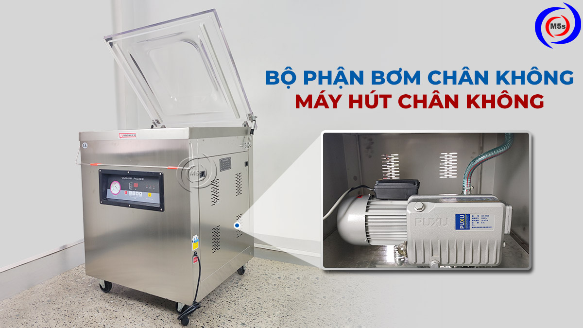 Bộ phận bơm chân không của máy hút chân không Bộ phận bơm chân không của máy hút chân không