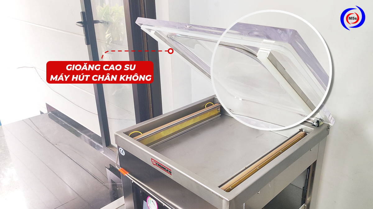 Gioăng cao su máy hút chân không Gioăng cao su máy hút chân không