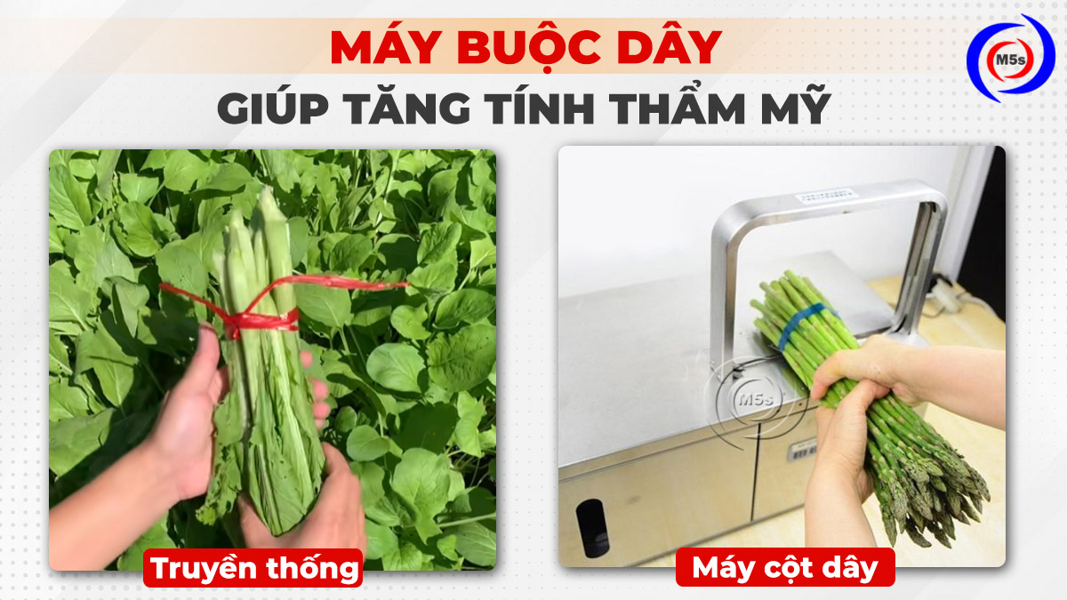 Máy cột dây giúp tăng tính thẩm mỹ Máy cột dây giúp tăng tính thẩm mỹ