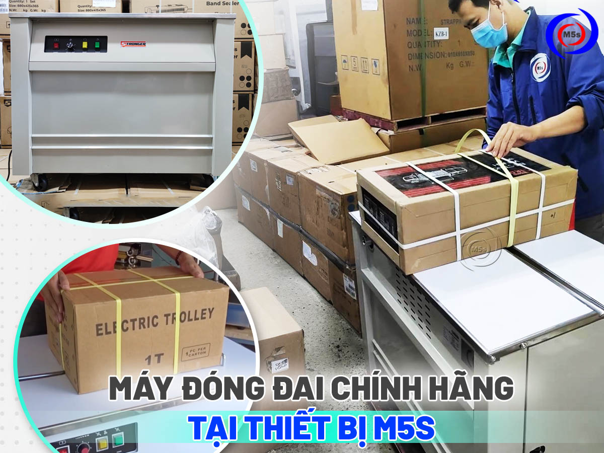 máy đóng đai chính hãng tại Thiết bị M5s máy đóng đai chính hãng tại Thiết bị M5s