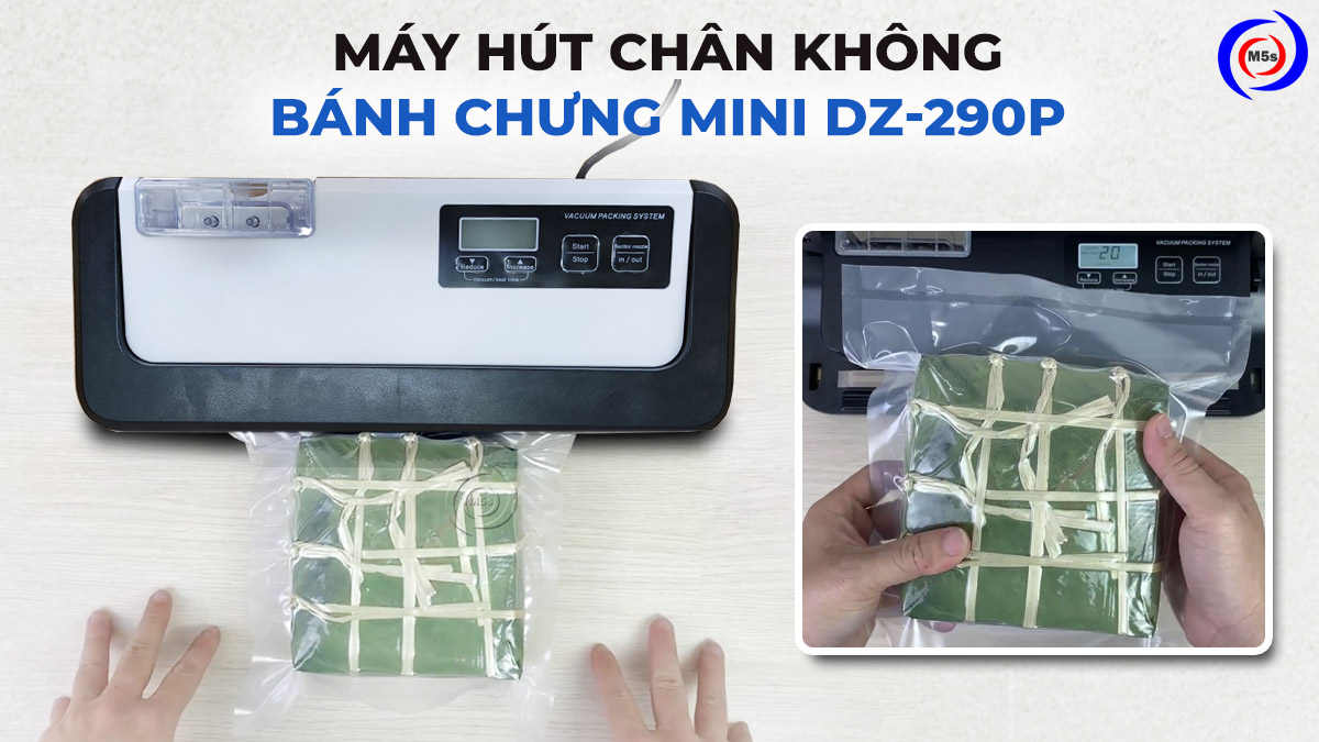 Máy hút chân không bánh chưng mini DZ-290P Máy hút chân không bánh chưng mini DZ-290P